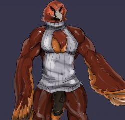 accipitrid accipitriform anthro avian beak bearded_vulture bird bottomless clothed clothing epicbassface genitals gosskett hi_res male meme meme_clothing muscular muscular_male old_world_vulture pecs penis simple_background solo solo_focus solo_male sweater sweater_only tagme topwear topwear_only virgin_killer_sweater vulture winged_arms wings