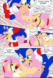 amy_rose anthro dialogue english_text female fur furry furry_bomb furry_only gullteerod hedgehog karate_akabon male mammal open_mouth sex short_hair sonic_(series) sonic_the_hedgehog straight text vaginal_penetration