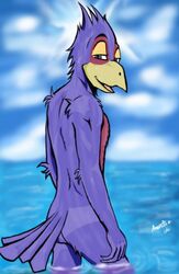 anthro ass blue_eyes color day falco_lombardi looking_back male male_only nude open_eyes outdoors pheasant sky solo standing star_fox tagme water