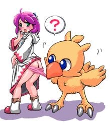 chocobo's_dungeon chocobo's_dungeon final_fantasy shirma_magnolie white_mage