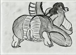 anthro anus ass back_view barefoot breasts claws female female_only greyscale hair monochrome nude pussy raised_tail rule_63 sketch solo tagme tail tick-tock vulva