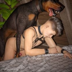 3d_(artwork) anal canid canine canis digital_media_(artwork) dobermann domestic_dog duo feral genitals human humanoid_genitalia humanoid_penis male male/male mammal namjalicious penis pinscher tongue tongue_out zoophilia