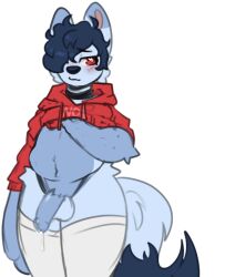 anthro balls belly blush bodily_fluids canid canine chubby_anthro chubby_male clothed clothing digital_media_(artwork) erection fox fur genital_fluids genitals hair legwear male mammal mxnster_fxcker penis slightly_chubby smile solo thick_thighs thigh_highs underwear wide_hips