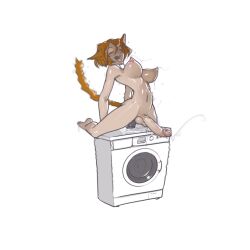 anal anthro athletic_futanari breasts cat_ears dildo futanari large_breasts large_penis nude precum pussy sex_toy tail tailbox tongue_out washing_machine