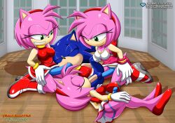 amy rose from mario and sonic at the olympic games by bbmbbf