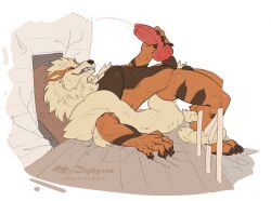 arcanine from nintendo by zephyxus