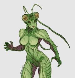 1girls alluring antennae anthro anthro_only athletic_female blanclauz breasts female_abs fit_female green_skin insect insect_girl insect_humanoid medium_breasts no_nipples no_pussy power_rangers power_rangers_lost_galaxy solo thick_thighs trakeena