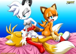 1boy 2girls anthro anthro_on_anthro anthro_only anthro_penetrated anthro_penetrating anthro_penetrating_anthro archie_comics areolae ass barby_koala bbmbbf bed blue_eyes blush blushing breasts canine cunnilingus eyelashes facesitting female ffm_threesome footwear fox fox_tail furry gloves gradient_background half-closed_eyes koala lying lying_on_back lying_on_bed male male/female marine_the_raccoon marsupial mobius_unleashed multicolored_fur multicolored_tail nipples on_back on_bed one_eye_closed open_mouth palcomix penetration raccoon raccoon_tail reverse_cowgirl_position reverse_spitroast sega sex shoes simple_background small_breasts smile sonic_(series) sonic_the_hedgehog_(series) tail tails threesome tongue tongue_out white_fur yellow_fur