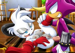 archie_comics barby_koala bbmbbf espio_the_chameleon furry mobius_unleashed palcomix sega sonic_(series)