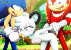 archie_comics barby_koala bbmbbf furry knuckles_the_echidna mobius_unleashed palcomix sega sonic_(series) sonic_the_hedgehog