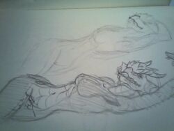 Dragonborn Rule 34 Image