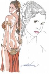 carrie fisher from return of the jedi by dan veesenmeyer