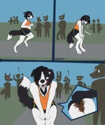 absurd_res anthro background_character border_collie bottomwear canid canine canis casual_scat chest_tuft clothed clothes_holding_scat clothing collie comic domestic_dog exercise exhibitionism feces female gym_bottomwear gym_clothing gym_shorts herding_dog hi_res jogging katlin katlin_perkins licking licking_lips mammal pastoral_dog public public_exposure relieved scat sheepdog shirt shorts simple_background soiling solo_focus tank_top teeth tongue tongue_out topwear tuft