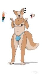 1futa anthro blep canid canine canis clothed clothing domestic_dog futanari genitals gynomorph herding_dog hi_res intersex mammal pastoral_dog paws penis solo solo_focus test001 thong tongue tongue_out topless topless_futanari underwear welsh_corgi