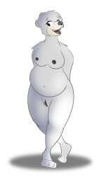 anthro bashful chunkypandaroo female genitals hi_res mammal original_character polar_bear pussy shy solo transparent_background ursid ursine