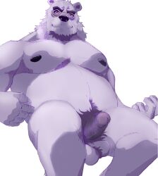 2022 anthro balls borealis_(live-a-hero) erection genitals hi_res humanoid_genitalia humanoid_hands humanoid_penis lemonseato lifewonders live-a-hero male male_only mammal overweight overweight_male penis polar_bear simple_background sitting solo ursid ursine video_games white_background