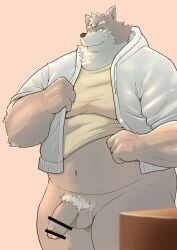 2022 anthro balls belly brown_body canid canine canis censored clothing domestic_dog genitals hi_res hoodie humanoid_genitalia humanoid_hands humanoid_penis kemono kiyo male mammal navel overweight overweight_male penis shirt solo topwear