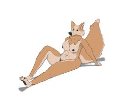 anthro breasts canid canine canis domestic_dog female genitals herding_dog mammal nipples pastoral_dog pawpads paws pussy slightly_chubby solo test001 welsh_corgi