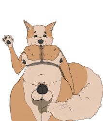 anthro balls canid canine canis domestic_dog genitals gesture gynomorph herding_dog intersex mammal nipples pastoral_dog penis slightly_chubby solo solo_focus test001 waving welsh_corgi