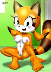 1girls anthro anus ass bbmbbf blush breasts female female_only furry looking_at_viewer marine_the_raccoon mobius_unleashed nude open_mouth palcomix pussy raccoon sega solo sonic_(series) sonic_the_hedgehog_(series) tongue