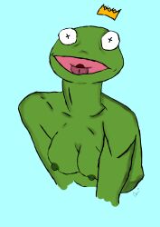 2d drawing kermit_the_frog kermitfrog