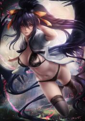 akeno himejima from high school dxd by axsens