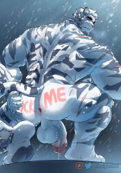 absurd_res anthro anus ass baiyushou balls body_writing crouching felid genitals hi_res humanoid_genitalia humanoid_penis male mammal mountain_(arknights) muscular muscular_male penis snow solo