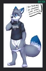 1boy 2020 ? absurd_res animal_genitalia anthro bastionshadowpaw biped black_border blue_body blue_eyes blue_fur border canid canine chastity_device chastity_piercing clothed clothing collar cuntboy cuntboy_only cuntboy_sans_balls dialogue digital_drawing_(artwork) digital_media_(artwork) english_text fennec fox fur furgonomics furry-specific_piercing genital_piercing genital_scar genitals gree_alvord grey_body grey_fur herm hermaphrodite hi_res humiliation intersex looking_aside male maleherm mammal multi_genitalia offscreen_character orchiectomy_scar partially_clothed penis piercing pussy scar sheath sheath_piercing shirt signature simple_background solo speech_bubble standing t-shirt text topwear underwear underwear_down white_background white_body white_fur young