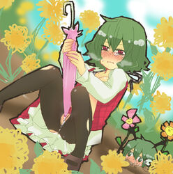 antennae blush breasts censored closed_umbrella doctorkr flower green_eyes green_hair masturbation multiple_girls no_bra open_clothes open_shirt pantyhose plaid plaid_skirt plaid_vest pussy pussy_juice red_eyes shirt short_hair skirt skirt_set sunflowers sweat torn_clothes torn_pantyhose touhou umbrella voyeurism wriggle_nightbug youkai yuka_kazami