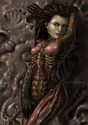 digitaldefeat sarah_kerrigan starcraft tagme zerg