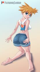 Kasumi (Pokemon) Rule 34 Image
