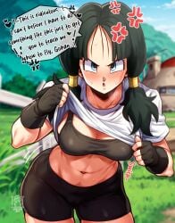 videl from dragon ball by viracochaart