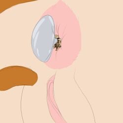 anal anal_vore animated anthro arkani_(arkwulff) arkwulff bound buttplug buttplug_pull_out canid canine canis coyote duo extreme_size_difference female hi_res loop macro macro/micro macro_female male male/female mammal micro micro_male plug_(sex_toy) sex_toy size_difference tied_to_dildo vore wolf