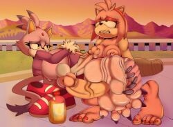 amy rose from sega by bcm13