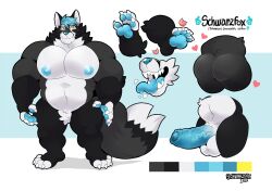 <3 anthro ass balls big_pecs black_body black_fur blue_hair blue_nipples blue_nose blue_pawpads blue_penis blue_tongue canid canine canis crotch_tuft erection fox fur furry furry_only genitals hair heart hi_res hybrid male male_only mammal model_sheet muscular muscular_anthro muscular_male naked nipples nude original original_character pawpads pecs penis schwarzfox schwarzfox_(character) solo standing tail teeth tongue tuft wolf