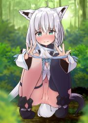 animal_ear_fluff animal_ears ass black_footwear black_legwear blue_eyes blush boots bottomless braid cat's_cradle embarrassed female forest fox_ears fox_girl fox_tail holding holding_clothes holding_panties holding_underwear hololive hololive_gamers hololive_gen_1 hololive_japan nature navel outdoors panties panties_removed presenting_panties pussy pussy_juice shirakami_fubuki shirt short_hair silver_hair single_thighhigh solo squatting stained_panties striped striped_panties tail thigh_strap thighhighs thighs tree underwear virtual_youtuber white_shirt yokaranuyakara