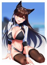 :d animal_ear_fluff animal_ears atago_(azur_lane) atago_(stunning_speedster)_(azur_lane) azur_lane bikini black_bikini black_hair blurry breasts brown_legwear cleavage depth_of_field extra_ears female female_only hair_ribbon highleg highleg_bikini highres kagiyama_(clave) large_breasts long_hair long_sleeves looking_at_viewer mole mole_under_eye navel open_mouth race_queen ribbon shrug_(clothing) sitting smile solo stomach string_bikini swimsuit thighhighs thighs wing_collar wrist_cuffs yellow_eyes yokozuwari