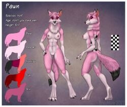 breasts brushfire canid canine canis claws dipstick_tail exposed_breasts female fur genitals mammal markings model_sheet nipples pawn_(pawnwolf) pink pink_body pink_fur pink_nipples pussy tail_markings wolf