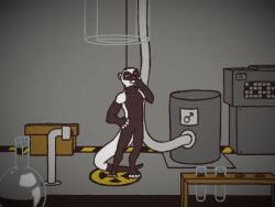 ! ? animated anthro domestic_ferret laboratory male mammal mustela mustelid musteline penis penis_transformation solo solo_focus transformation true_musteline witte_konijn