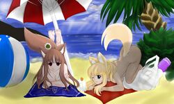 2girls beach crossover female female_only holo large_breasts liru multiple_girls renkin_san-kyuu_magical_pokaan spice_and_wolf victorneko