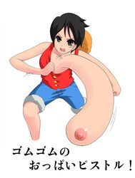 1girls akuma_no_mi areola beige_skin black_hair breasts clothes color erect_nipples female female_only front_view gomu_gomu_no_mi grey_eyes hair human japanese_text luffyko mazima_makoto22 monkey_d_luffy nipples one_piece open_eyes open_mouth round_ears rule_63 scar short_hair solo standing straight_hair straw_hat text translation_request voluptuous white_background