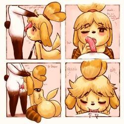 2022 animal_crossing animal_genitalia animal_penis anthro ass ass_focus blush boobs breasts choker cumdrip fellatio female female_focus fur furry furry_breasts furry_ears furry_only furry_tail isabelle_(animal_crossing) licking licking_penis nintendo nipples oral orgasm penis petplay pleasurecheri saliva sucking thighhighs thighs white_fur yellow_fur