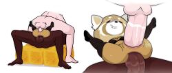 retsuko's mother from aggressive retsuko by gosgoz