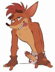 1boy activision anthro bandicoot bite black_nose bodily_fluids boxers_(clothing) clothed clothing crash_(series) crash_bandicoot cum eeknocs erection fingerless_gloves fur genital_fluids genitals gloves green_eyes hair handwear heart_boxers heart_underwear hi_res leaking_cum leaning leaning_forward leaning_on_object looking_pleasured male male_only mammal marsupial orange_body orange_fur penis penis_through_fly poking_out red_hair simple_background solo tongue tongue_bite tongue_out underwear underwear_only vein veiny_penis video_games white_background