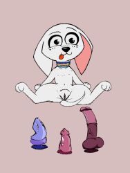 101_dalmatian_street 101_dalmatians animal_dildo animal_pussy animal_sex_toy anthro awaiting big_ears breasts canid canine canine_dildo canis collar dildo disney dolly_(101_dalmatians) domestic_dog dragon_dildo equine_dildo female feral flat_chested genitals hi_res mammal pussy pussy_mound sex_toy small_breasts solo spread_legs spreading tongue tongue_out young