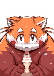 2022 ailurid anthro blush bodily_fluids censored erection genitals humanoid_genitalia humanoid_hands humanoid_penis kemono male male/male mammal orange_body penis red_panda simple_background solo_focus sweat takagi_kyou white_background