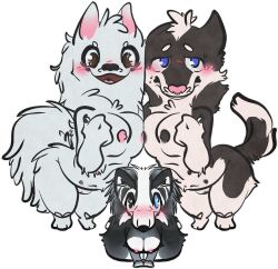 alaskan_klee_kai alpha_channel anthro blush breast_squish breasts canid canine canis domestic_dog female female/female group heterochromia hi_res husky mammal nordic_sled_dog perspective samoyed shy siberian_husky size_difference sparklepupfaeri spitz squish