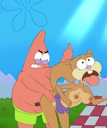 1boy 1girls anthro breasts doggy_style female grass male male/female mammal nickelodeon nicktoons open_mouth patrick_star sandy_cheeks sex spongebob_squarepants spongebob_squarepants_(series) starfish straight straight_sex united_plankton_productions