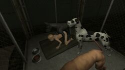 3d canine raven_huntsman second_life slave zoophilia