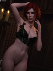 3d female female_only missally slim_waist tagme the_witcher_(series) the_witcher_3:_wild_hunt triss_merigold